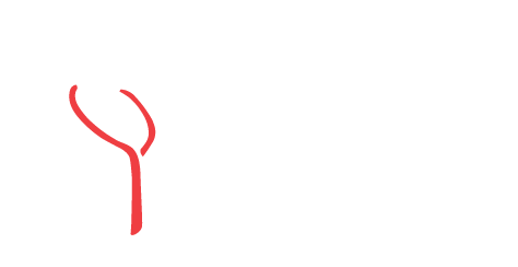 The Celsa Group